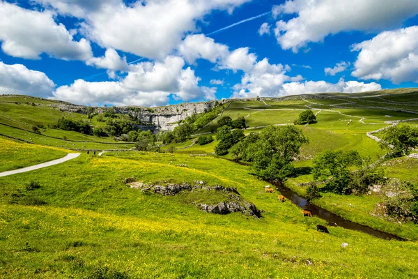 Sommerlandschaft Malham Cove Yorkshire Dales Nationalpark Touristenattraktion England — Stockfoto