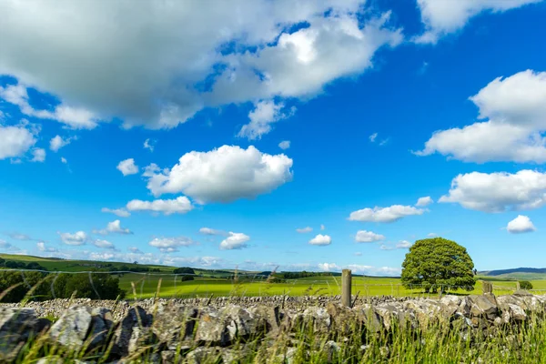 Krajobraz Wiejski Yorkshire Dales Anglia Wielka Brytania — Zdjęcie stockowe