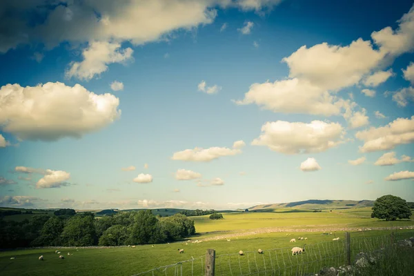 Krajobraz Wiejski Yorkshire Dales Anglia Wielka Brytania — Zdjęcie stockowe