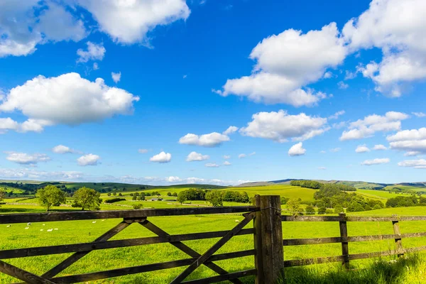 Wiejski Krajobraz Drewnianym Ogrodzeniem Yorkshire Dales Anglia Wielka Brytania — Zdjęcie stockowe