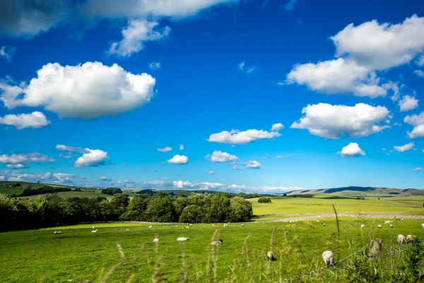 Paysage Rural Dans Yorkshire Dales Angleterre Royaume Uni — Photo