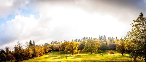 Panorama Parc Automne Ecosse Une Bannière Aux Arbres Dorés Dans — Photo