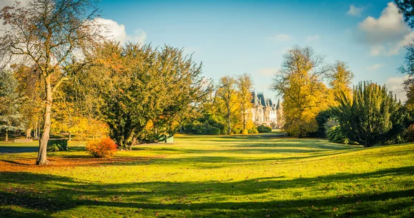 Панорама Парка Фолкерке Красивая Осень — стоковое фото