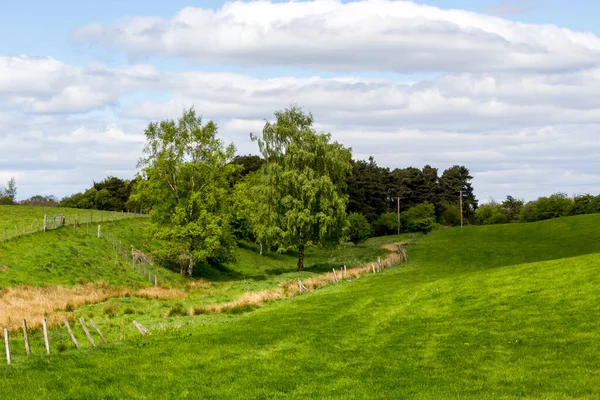 Eine Landschaft Frühling Ein Blick Glen Mavis Schottland Großbritannien — Stockfoto
