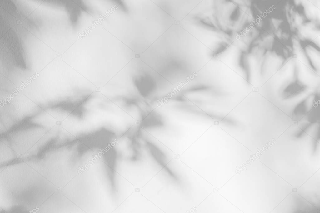 Abstract plant leaf shadow and sunlight blurred background. Nature leaves tree branch shadows dappled on white concrete wall texture for background wallpaper and any desig