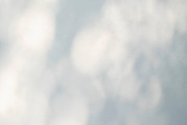 Абстрактные Листья Серого Фона Тени Светлым Боке Ветки Дерева Естественных — стоковое фото