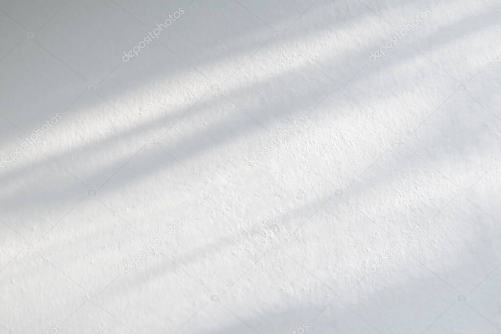 Nature leaf gray shadow and sunlight diagonally abstract blurred background. Leaves and tree shadows with light on white concrete wall texture for wallpaper, backdrop and any desig