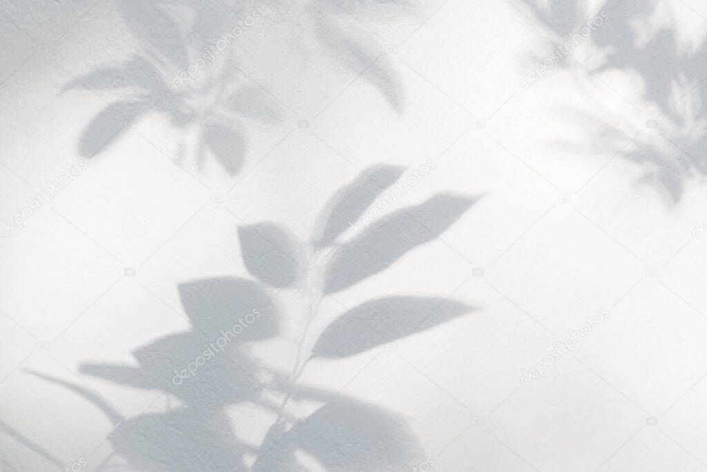 Leaves shadow and light background. Natural leaves tree branch and plant shadows with sunlight dappled on white concrete wall texture for background wallpaper and any desig