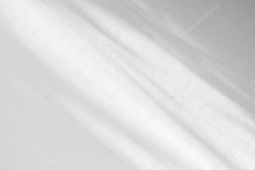 Leaves shadow and tree branch abstract background.  Natural leaves tree branch dark shadow and light from sunlight dappled on white concrete wall texture for background wallpaper and any desig