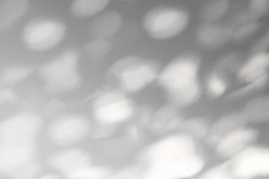 Aydınlık arkaplan ile soyut arkaplan gölgesi, arkaplan ve duvar kağıdı için beyaz duvar dokusu üzerine düşen doğal yapraklar, siyah ve beyaz monokrom tonu, wal üzerine sanat