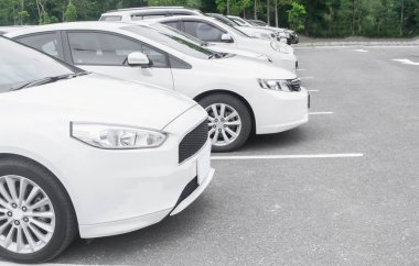Asfalt otoparkta beyaz bir araba. Arka planda ağaçlar var. Doğayla iç içe seyahat ediyorlar.