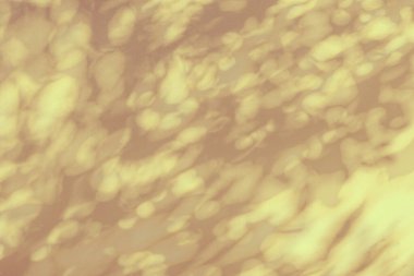 Beyaz beton duvar dokusuna düşen ağaç dalının gölgesi, duvardaki doğa sanatı, beyaz sırtüstü uzanan pembe gül sarısı gölge.