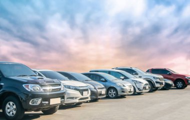 Asfalt otoparkta güzel bir arka planı olan bir araba parkı. Açık hava otoparkı, doğa, taze ozon ve seyahat taşımacılığı sektörünün yeşil ortamı.