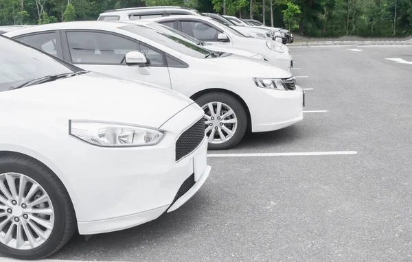 Coche Blanco Estacionamiento Asfalto Con Árboles Fondo Viaje Naturaleza Concep — Foto de Stock