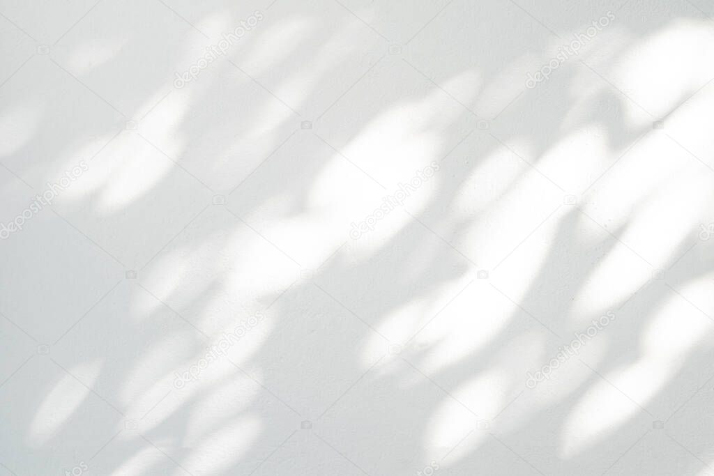Abstract leaves shadow and light blurred background with light bokeh, natural leaves tree branch on white wall texture,  wallpaper, black and white, monochrome, nature  shadow pattern on wal