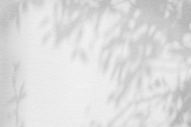 Beyaz beton duvar dokusunda soyut gölgeler bırakır. Siyah beyaz, tek renkli, doğa gölgesi sanatı.