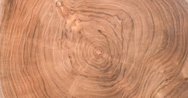 Arkaplan ve duvar kâğıdı için doğal tahıl deseninin detaylarıyla ahşap doku