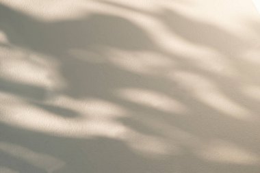 Arka plan ve duvar kâğıdı için beyaz duvar dokusuna düşen doğal palmiye yapraklarının soyut gri gölge arkaplanı.