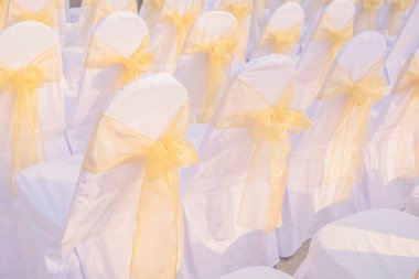 Altın kumaş kurdeleli beyaz düğün sandalyeleri ve güneş ışığı. Şenlik kutlamalarında beyaz bez süslemelerle kaplı sandalyeler.