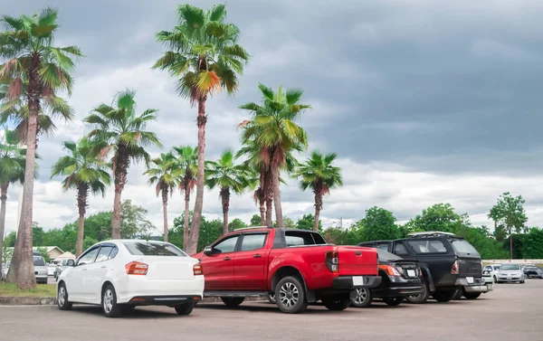 Samochody Zaparkowane Parkingu Asfaltowym Pobliżu Palm Zachmurzonym Tle Nieba — Zdjęcie stockowe