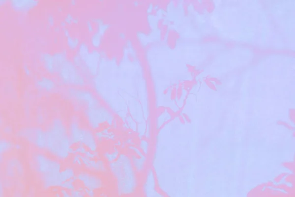 Abstrakt Blad Skugga Färgglada Bakgrund Med Träd Stam Och Gren — Stockfoto