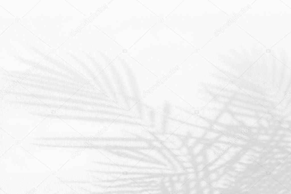 Gray shadow abstract blurred background  on white  wall