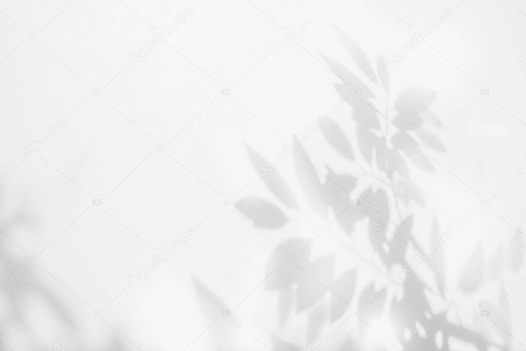 Abstract leaves shadow background on white wall texture , black and white, monochrome, nature shadow art on wal