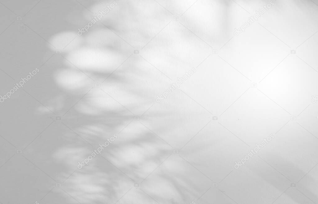 Abstract leaves shadow background on white concrete wall texture for background, black and white, monochrome, nature art shadow on wal