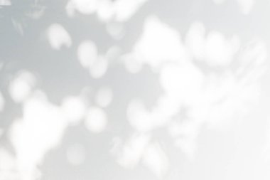 Soyut yapraklar gölge ve ışık bulanık arkaplan, beyaz duvar dokusunda doğal yaprak dalları, duvar kâğıdı, siyah beyaz, tek renk, doğa gölgesi.