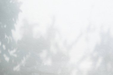 Beyaz beton duvar dokusu, siyah beyaz, tek renkli, doğa gölgesi desenli sanat üzerine ağaç dalının soyut gölgesi bulanık arkaplanı.