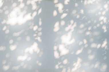 Daldaki doğal yaprakların ağaç gölgesi ve beyaz beton duvar dokusunda ağaç gövdesi desinin deseni açık renkli bokeh, siyah beyaz monokrom, duvardaki doğa gölgeleri deseni