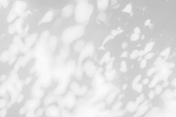 Abstract Bladeren Grijs Schaduw Achtergrond Met Licht Bokeh Natuurlijke Bladeren — Stockfoto