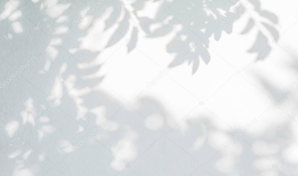 Abstract leaves shadow background, natural leaves tree branch on white concrete wall texture for background and wallpaper, black and white, monochrome,  nature art shadow on wal