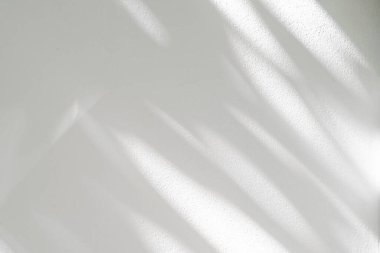 Gri gölge ve beyaz duvardaki ışık. Beyaz beton duvar dokusu üzerine soyut koyu yapraklar gölge arka plan, siyah ve beyaz, monokrom, doğanın gölge desenli sanatı