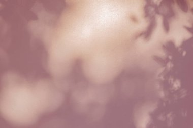 Arkaplan ve duvar kâğıdı için beton duvar dokusu, duvarda doğa sanatı, arka planda gül sarısı gölgesi