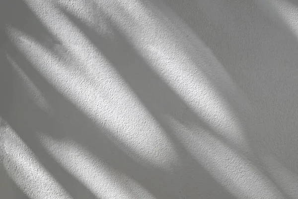Black shadow and light on white wall. Abstract dark leaves shadow background on white concrete wall texture, black and white, monochrome, nature shadow pattern art on wal