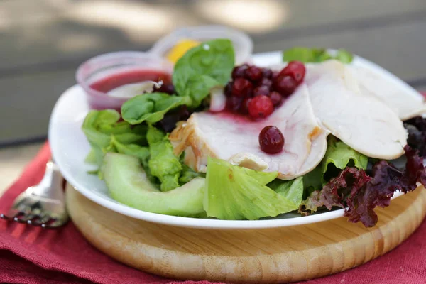 Salade Met Turkije Cranberry Saus — Stockfoto