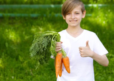 organik havuç - sevimli çocukla sağlıklı gıda