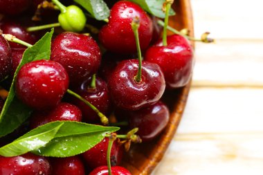 Yeşil yapraklı taze kiraz, makro shot.