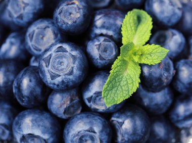 taze organik yaban mersini berry masada