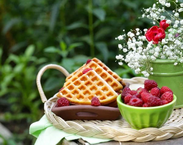 Süße Waffeln Mit Beeren Zum Dessert Picknick Freien — Stockfoto