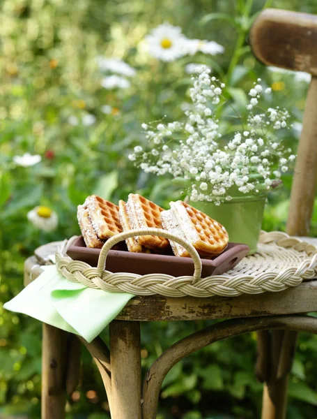 Gaufres Sucrées Aux Baies Pour Dessert Pique Nique Plein Air — Photo