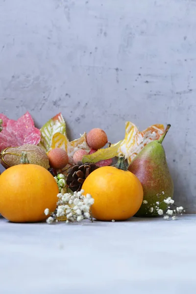 Recolta Organică Fructe Toamnă — Fotografie, imagine de stoc