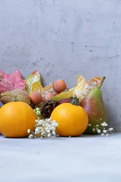 Autunno Natura Morta Raccolta Biologica — Foto Stock