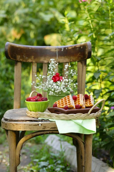 Sweet Waffles Berries Dessert Outdoor Picnic — Stock Photo, Image