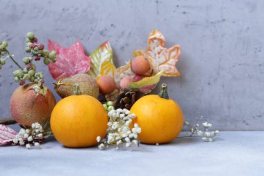 Sonbahar Natürmort meyve organik hasat