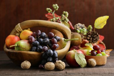 Sonbahar Natürmort meyve organik hasat