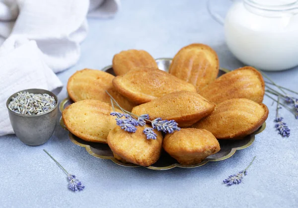 Galletas Francesas Madeleine Forma Conchas — Foto de Stock