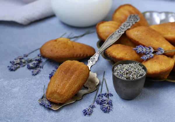 Biscotti Francesi Madeleine Sotto Forma Conchiglie — Foto Stock