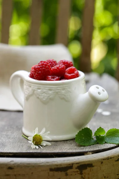 Frische Bio Himbeere Rustikales Stillleben — Stockfoto